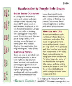 Renee's Garden Bean Pole Rattlesnake Ice & Purple Pod (Heirloom) -Brandt Sales 4176 pb