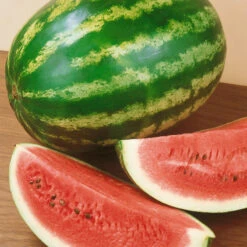 Crimson Sweet Watermelon Seeds (Organic) 7 Crimson Sweet Watermelon Seeds (Organic) -Brandt Sales 440 watermelon crimson sweet web