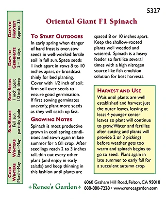 Renee's Garden Spinach Japanese Oriental Giant 4 Renee's Garden Spinach Japanese Oriental Giant - Image 2