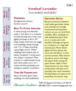 Renee's Garden Lavender Fernleaf -Brandt Sales 5361 pb