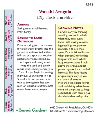 Renee's Garden Arugula Wasabi 6 Renee's Garden Arugula Wasabi - Image 4