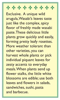 Renee's Garden Arugula Wasabi 5 Renee's Garden Arugula Wasabi - Image 3