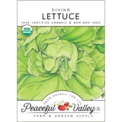 Divina Lettuce Seeds (Organic)