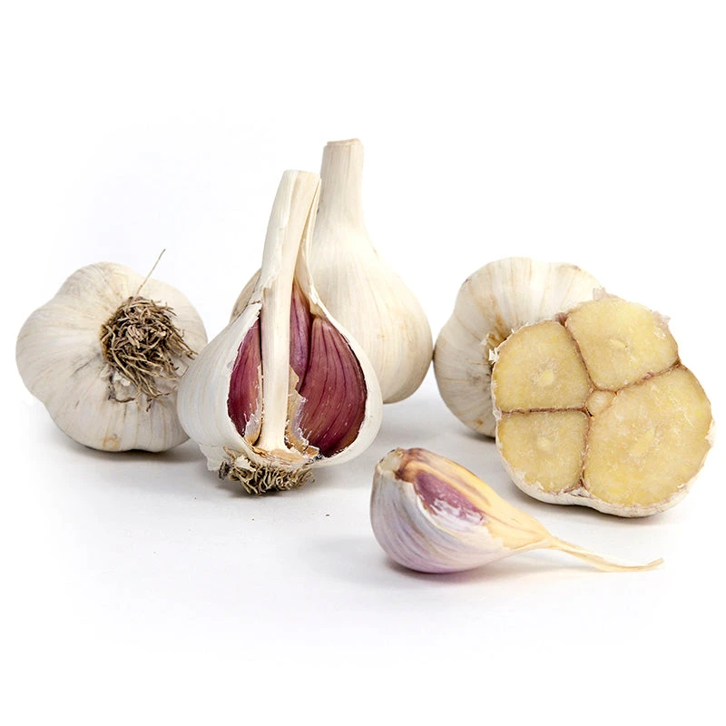 Organic Garlic, Music (lb) 3 Organic Garlic, Music (lb)