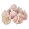 Organic Garlic, Red Chesnok (lb) -Brandt Sales Organic Red Chesnok Garlic