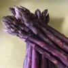 Asparagus Sweet Purple -Brandt Sales asparagus sweet purple bundle of 10