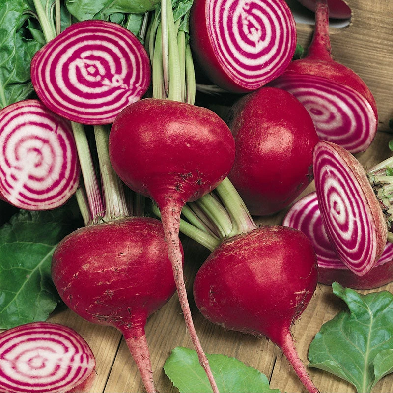 Organic Beet, Chioggia (1/4 Lb) 4 Organic Beet, Chioggia (1/4 Lb) - Image 2