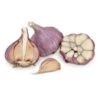Conventionally Grown Garlic, Bogatyr (lb) 2 Conventionally Grown Garlic, Bogatyr (lb) -Brandt Sales conventionally grown garlic bogatyr lb