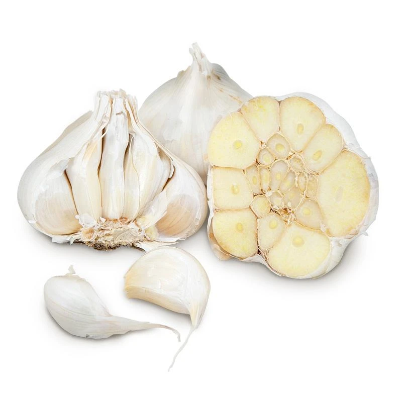 Conventionally Grown Garlic, California Early White (lb) 3 Conventionally Grown Garlic, California Early White (lb)