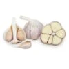 Conventionally Grown Garlic, Metechi (lb) -Brandt Sales conventionally grown garlic metechi lb