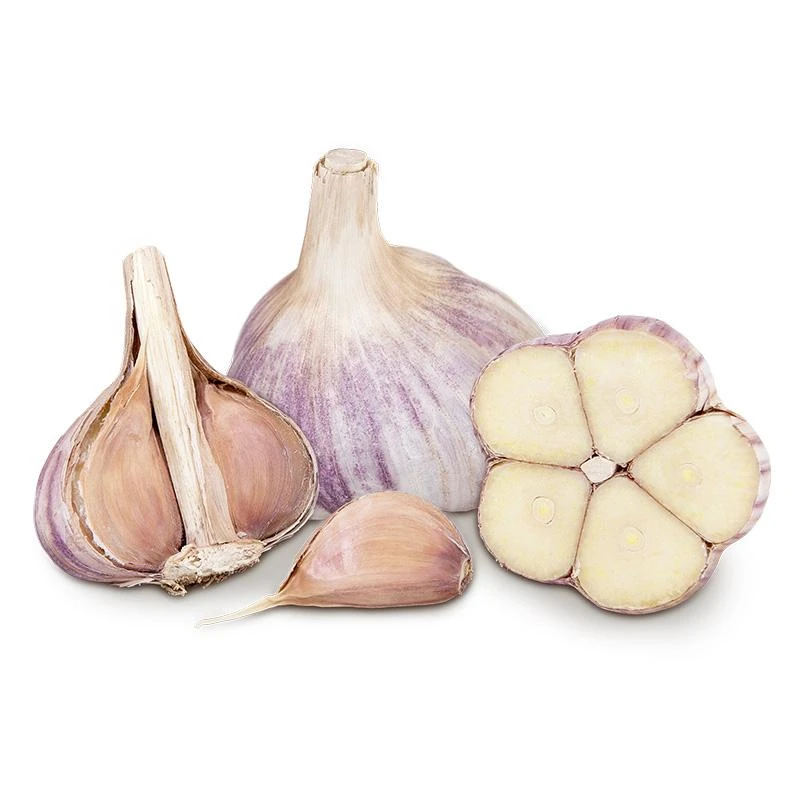 Conventionally Grown Garlic, Music (lb) 3 Conventionally Grown Garlic, Music (lb)