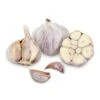 Conventionally Grown Garlic, Siberian (lb) -Brandt Sales conventionally grown garlic siberian lb