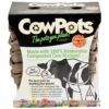 CowPots - 4" Square (Pack Of 12) -Brandt Sales cowpots 4 square pack of 12
