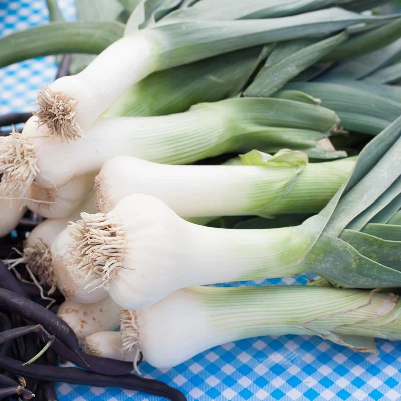Organic Leek, American Flag (1 Oz) 4 Organic Leek, American Flag (1 Oz) - Image 2