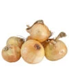 Onion Sets Dutch - Yellow Stuttgarter (Pack Of 75) 2 Onion Sets Dutch - Yellow Stuttgarter (Pack Of 75) -Brandt Sales fp080 web 1 c4b2e6fc 6d61 4d91 b2cd 90cf44ec0ee2