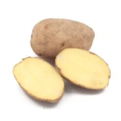 German Butterball Potato (Organic)
