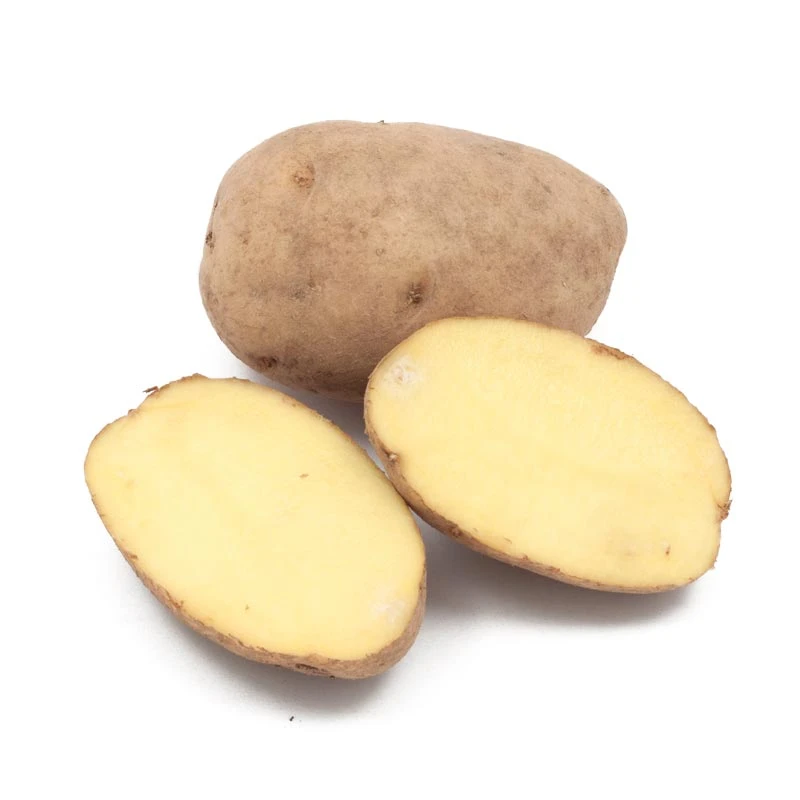 German Butterball Potato (Organic) 3 German Butterball Potato (Organic)