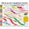 Fruit Tree Harvest Chart -Brandt Sales fruit tree harvest chart