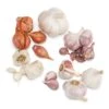 Garlic Combo Pack -Brandt Sales garlic combo pack