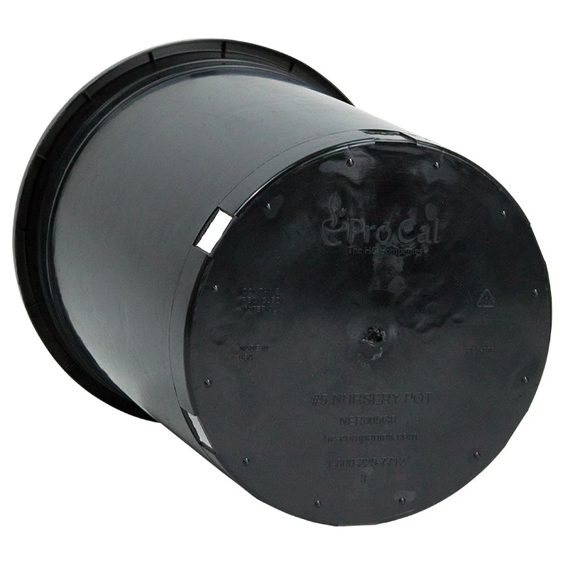 Black Plastic Pot (5 Gallon Size) 4 Black Plastic Pot (5 Gallon Size) - Image 2