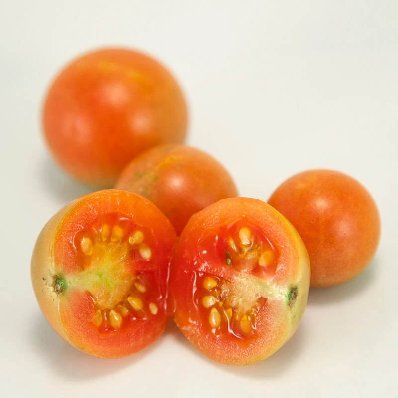 Red Grape Riesenstraube Cherry Tomato Seeds (Organic) 4 Red Grape Riesenstraube Cherry Tomato Seeds (Organic) - Image 2