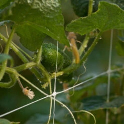 Hortonova Trellis (4' X 3280' Roll) 7 Hortonova Trellis (4' X 3280' Roll) -Brandt Sales hortinova b 10