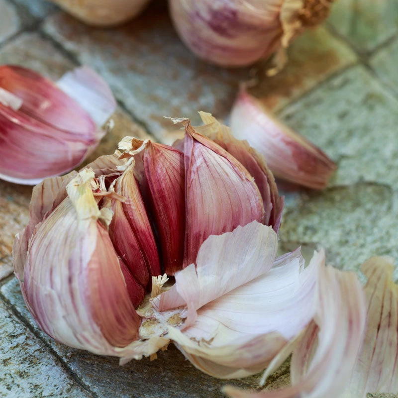 Organic Garlic, Red Italian (lb) 3 Organic Garlic, Red Italian (lb)