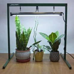 Jump Start 2-Foot Light System With One Lamp