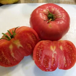 Mortgage Lifter Tomato Seeds (Organic) -Brandt Sales mortgage lifter web sliced