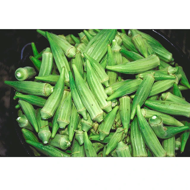 Organic Okra, Clemson Spineless 80 (1/4 Lb) 4 Organic Okra, Clemson Spineless 80 (1/4 Lb) - Image 2