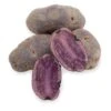 Fall-Planted Organic All Blue Seed Potatoes (lb) -Brandt Sales organic all blue seed potatoes lb