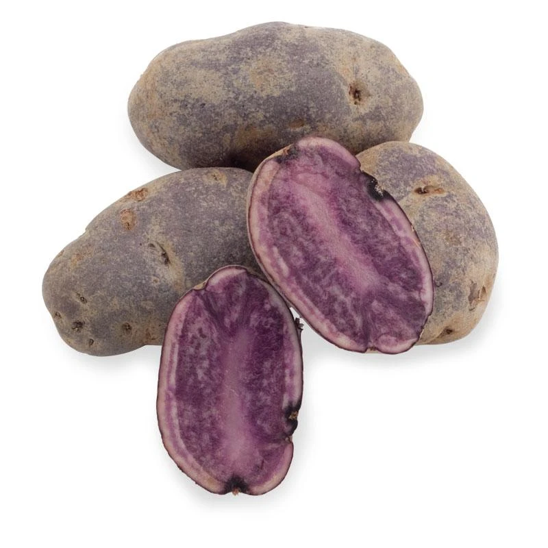 Fall-Planted Organic All Blue Seed Potatoes (lb) 3 Fall-Planted Organic All Blue Seed Potatoes (lb)