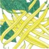 Organic Bean, Bush Gold Rush Yellow Wax (1/2 Lb) -Brandt Sales organic bean bush gold rush yellow wax 1 2 lb