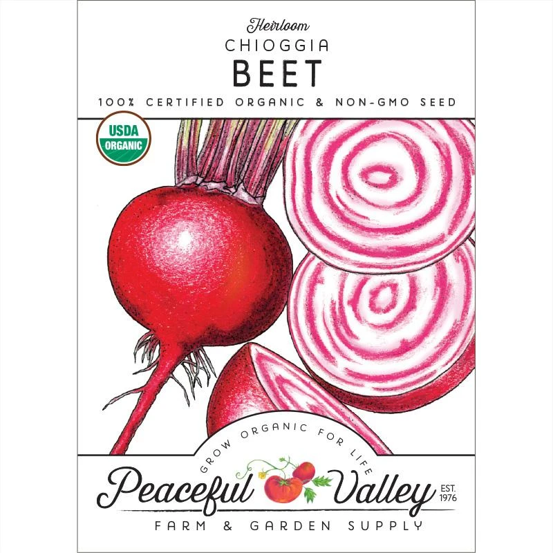 Chioggia Beet Seeds (Organic) 3 Chioggia Beet Seeds (Organic)