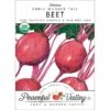Early Wonder Tall Beet Seeds (Organic) -Brandt Sales organic beet early wonder tall