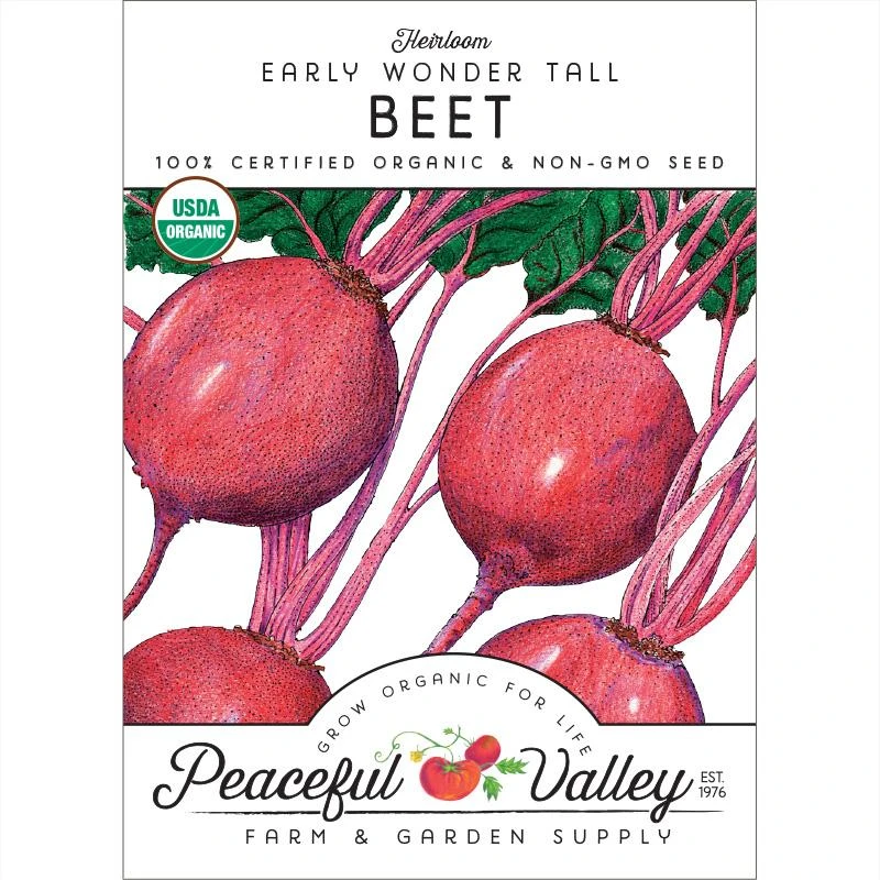Early Wonder Tall Beet Seeds (Organic) 3 Early Wonder Tall Beet Seeds (Organic)