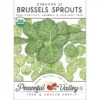 Darkmar 21 Brussels Sprouts Seeds (Organic) -Brandt Sales organic brussels sprouts darkmar 21