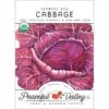 Express Red Cabbage Seeds (Organic) -Brandt Sales organic cabbage express red