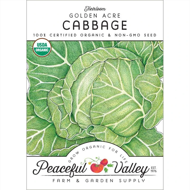 Golden Acre Cabbage Seeds (Organic) 3 Golden Acre Cabbage Seeds (Organic)