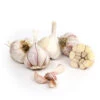 Organic Garlic, California Late White (lb) -Brandt Sales organic california late white garlic