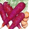 Organic Carrot, Cosmic Purple (1 Oz) 2 Organic Carrot, Cosmic Purple (1 Oz) -Brandt Sales organic carrot cosmic purple 1 oz