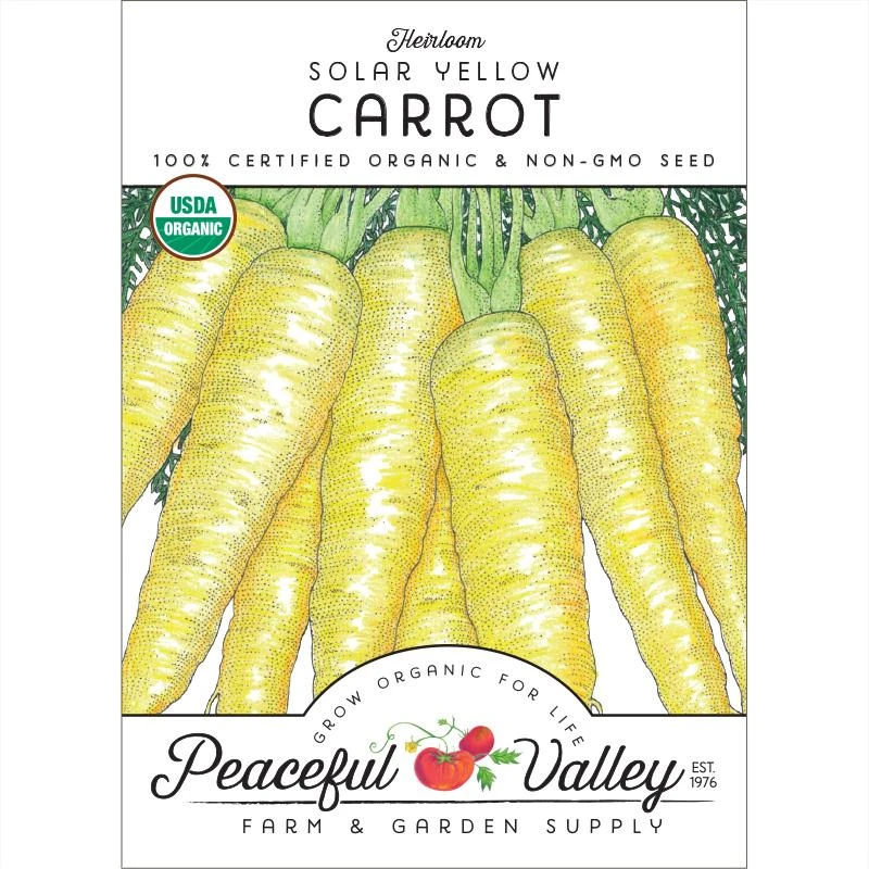 Solar Yellow Carrot Seeds (Organic) 3 Solar Yellow Carrot Seeds (Organic)