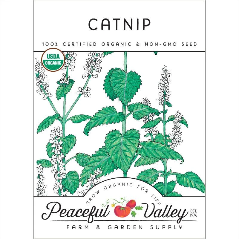 Organic Catnip 3 Organic Catnip