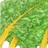 Organic Chard, Yellow (1/4 Lb) -Brandt Sales organic chard yellow 1 4 lb