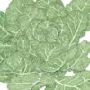Organic Collard Greens, Champion (1 Oz) 1 Organic Collard Greens, Champion (1 Oz) -Brandt Sales organic collard greens champion 1 oz