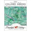 Collard Old Timey Blue Greens Seeds (Organic) -Brandt Sales organic collard greens old timey blue