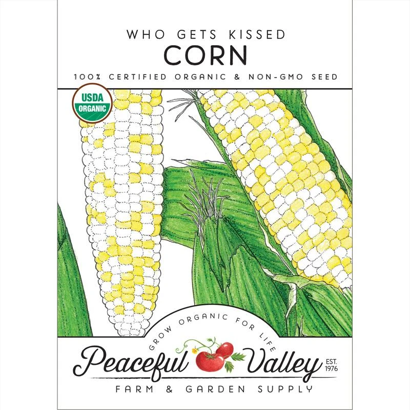 Who Gets Kissed Corn Seeds (Organic) 3 Who Gets Kissed Corn Seeds (Organic)