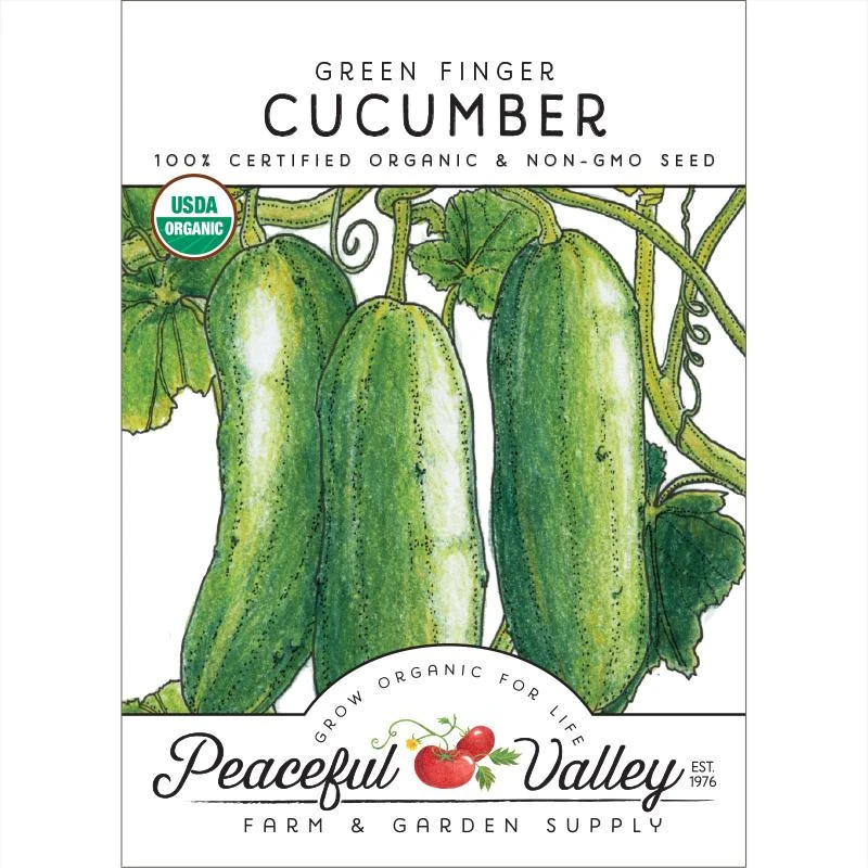 Green Finger Cucumber Seeds (Organic) 3 Green Finger Cucumber Seeds (Organic)