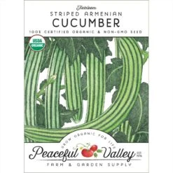 Striped Cucumber Seeds (Organic)