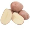 Fall-Planted Organic Desiree Seed Potatoes (lb) -Brandt Sales organic desiree seed potatoes lb
